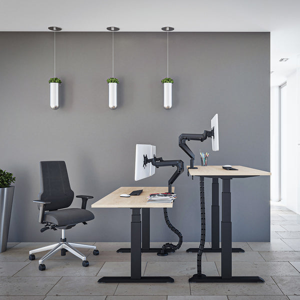 The Advance Standing Desk