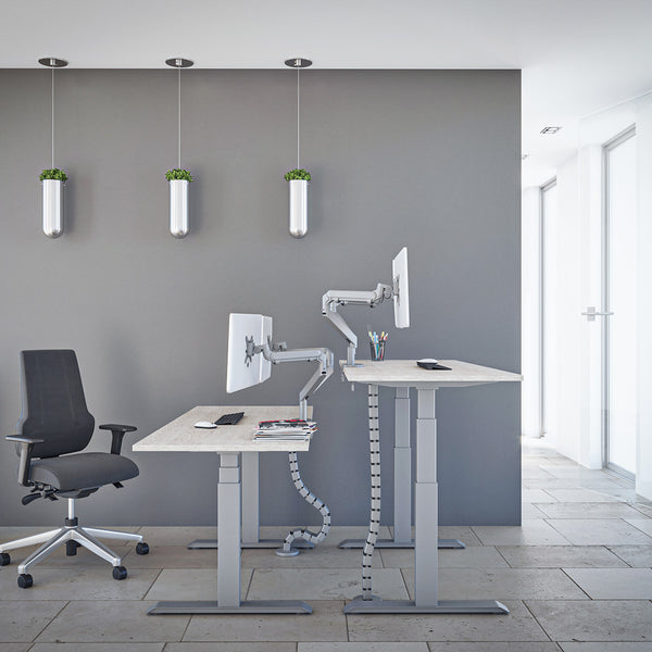 The Advance Standing Desk