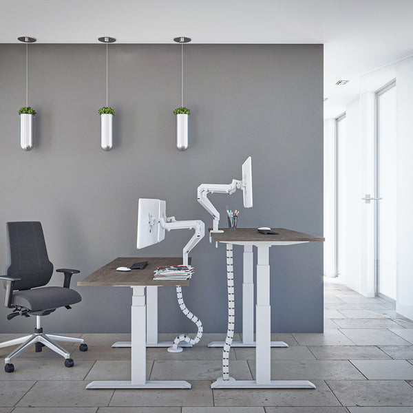 The Advance Standing Desk