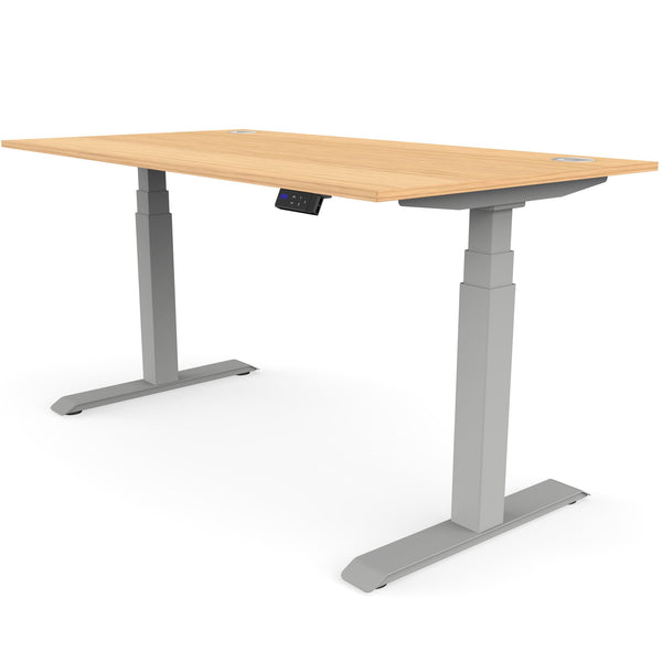 Gostand Pro dual motor standing desk for a high-quality sit-stand ergonomic solution.