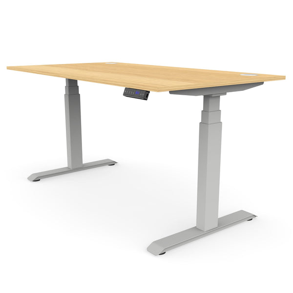 The Advance Standing Desk